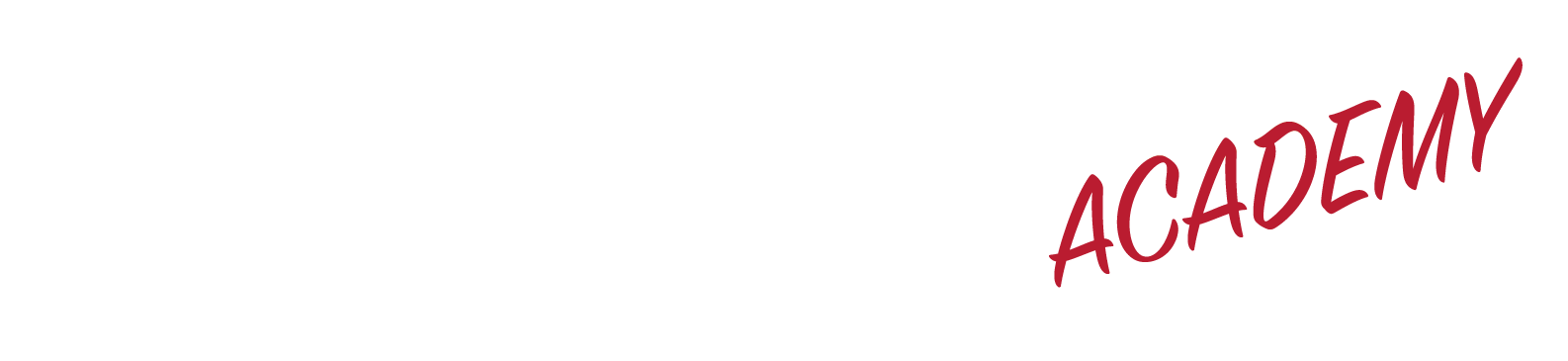 nltd_academy-logo